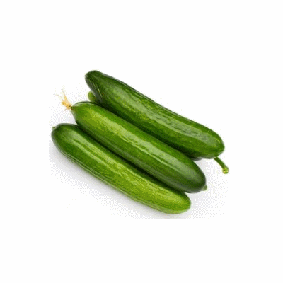 Timun Mini Cameron (迷你青瓜)